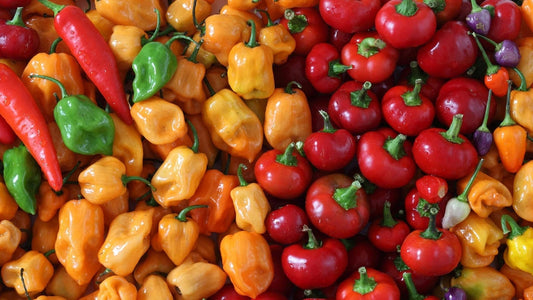 The Chilis and Peppers in Stella blends